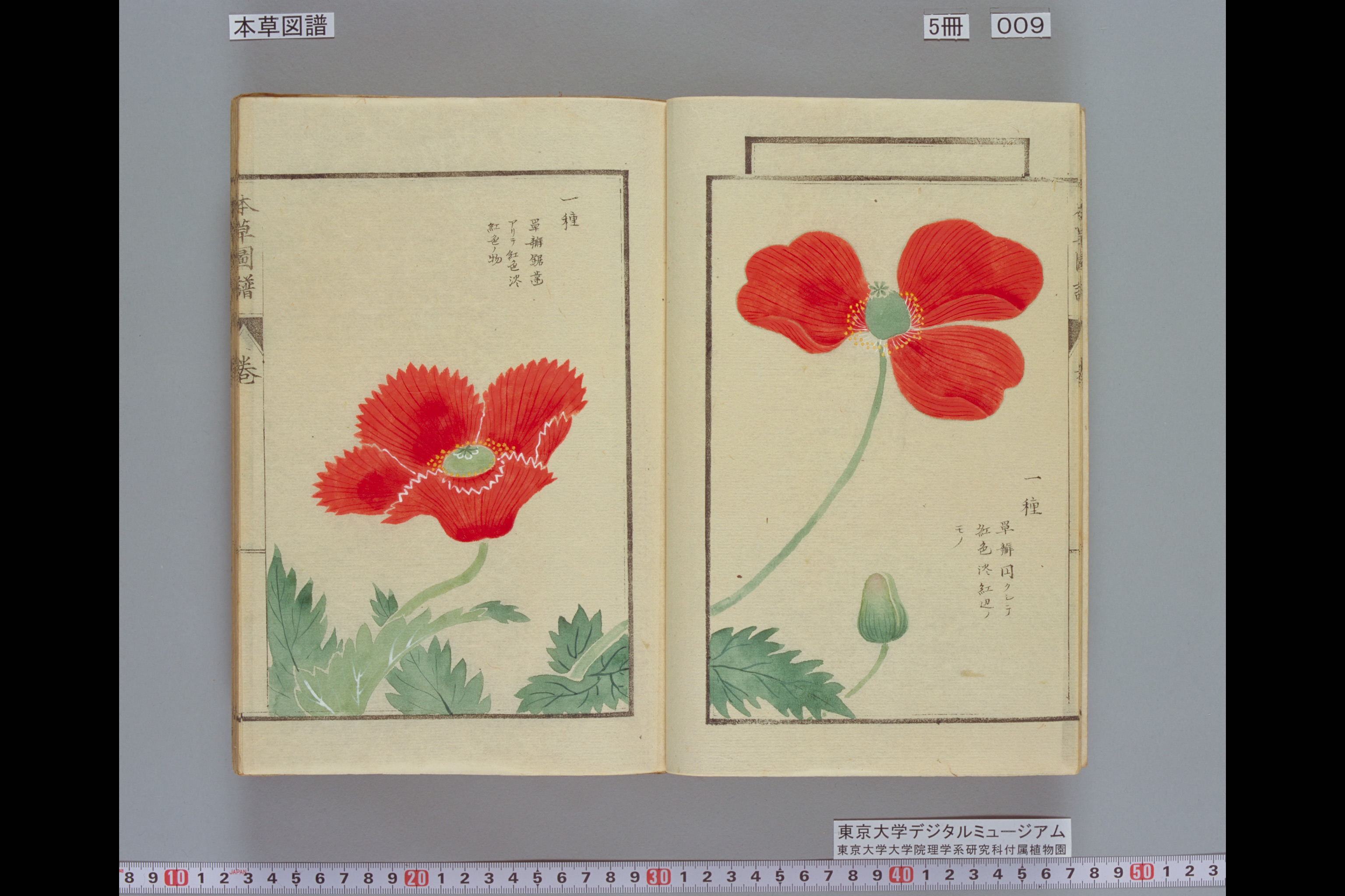 pcd0832-1:0-768,0-512