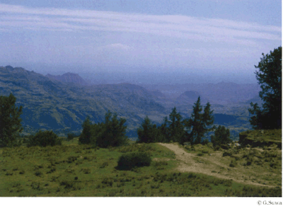 エチオピア高原