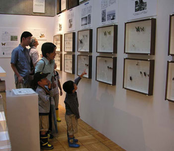 昆虫の展示を見に来た家族づれの来館者の写真