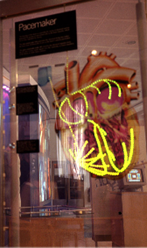 心臓の神経パルスの展示物