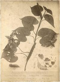 [088.jpg]