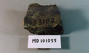 MD101055