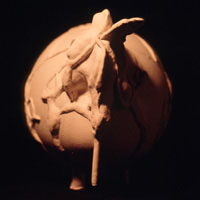 a model of the earthian-Heart