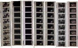 Pieces of cut films