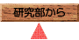 コレクション