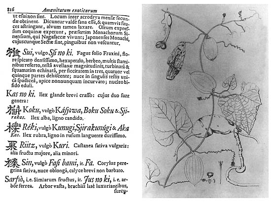 Amoenitaum Exoticarum Politico-physico-medicarum,