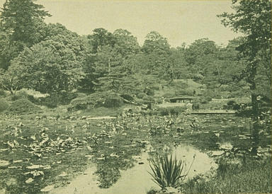 [植物園中の遊園の画像]