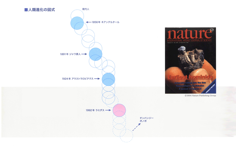 人類進化の図式