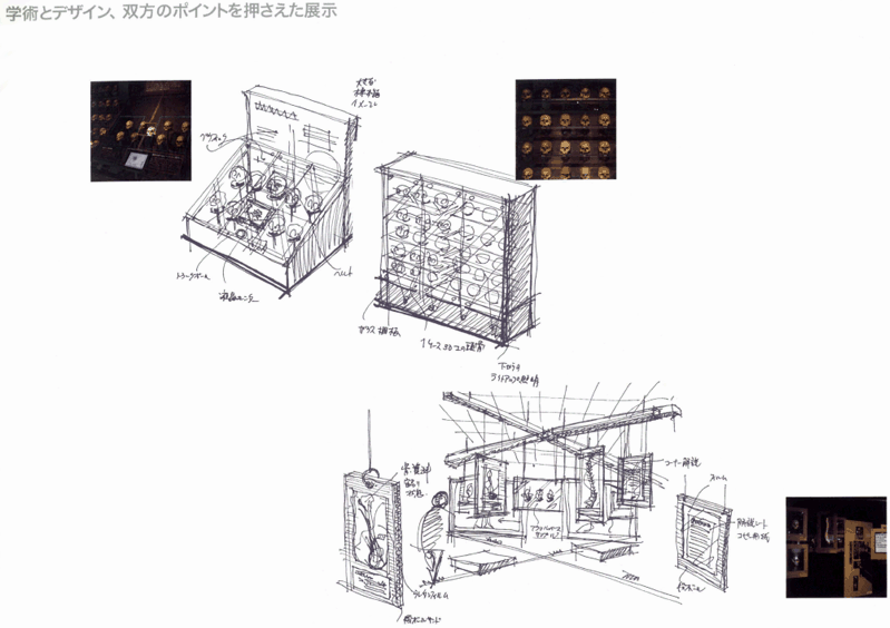 学術とデザイン、双方のポイントを押さえた展示