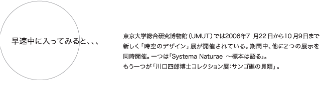 早速中に入ってみると