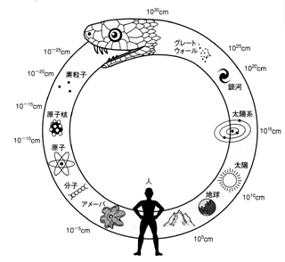 ウロボロスの図。